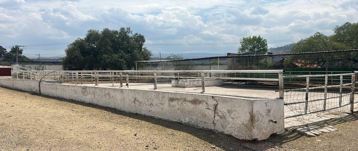 Foto de terreno comercial en renta en terr bellavista 2, santa inés, texcoco, méxico, 0 No. 03