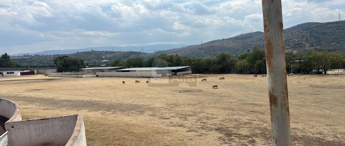 Foto de terreno comercial en renta en terr bellavista 2, santa inés, texcoco, méxico, 0 No. 04