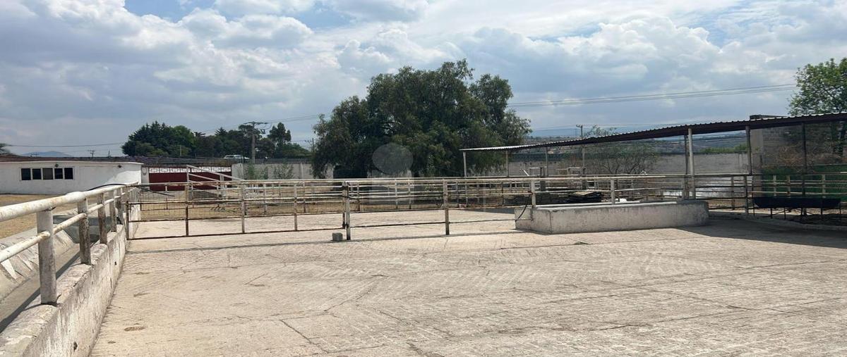 Foto de terreno comercial en renta en terr bellavista 2, santa inés, texcoco, méxico, 0 No. 05