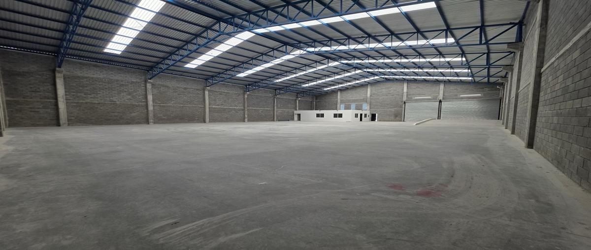 Foto de bodega en renta en  , terra park santa catarina, santa catarina, nuevo león, 0 No. 03