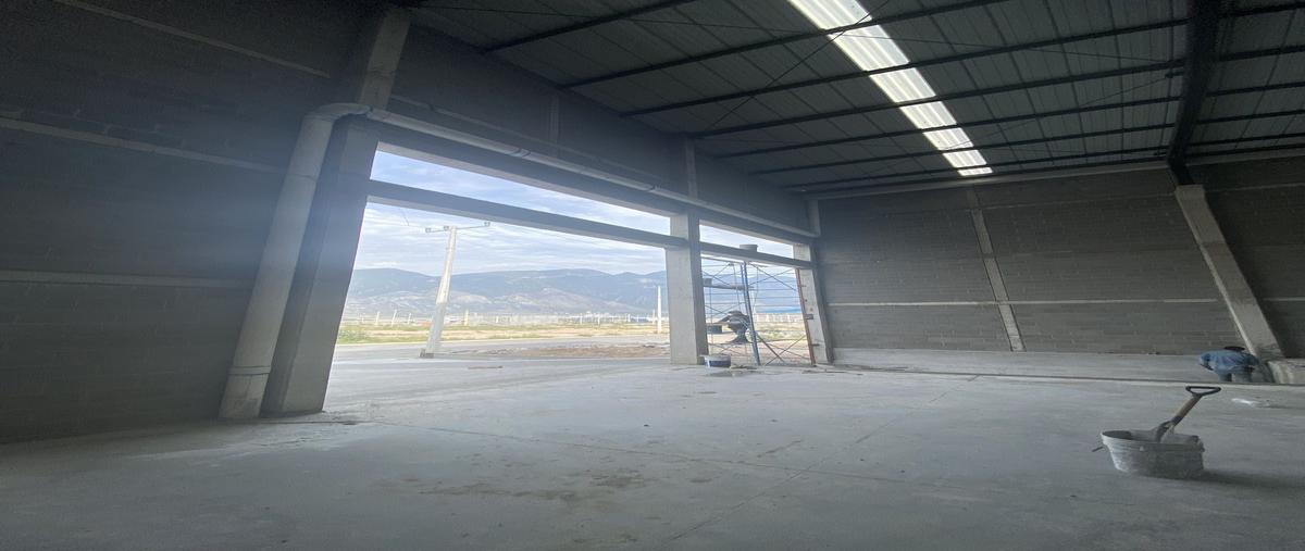 Foto de bodega en renta en terra park , terra park santa catarina, santa catarina, nuevo león, 29049390 No. 04