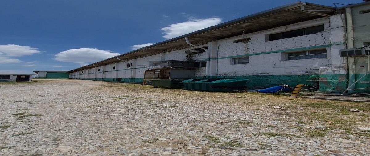 Foto de bodega en venta en . , terranova tuxtla, tuxtla gutiérrez, chiapas, 28409736 No. 04