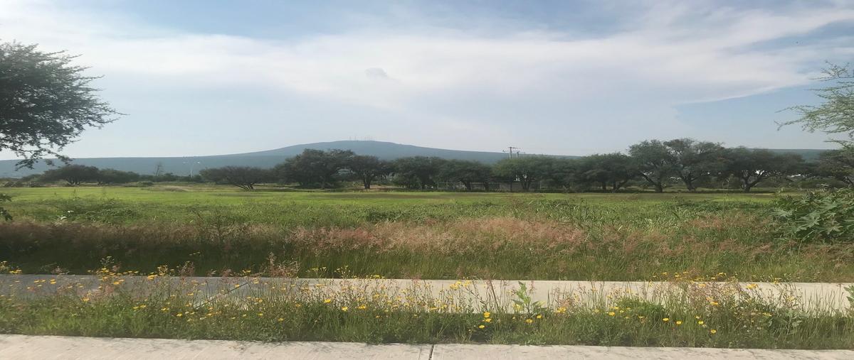 Foto de terreno habitacional en venta en terreno 60 el encino , la noria, huimilpan, querétaro, 28632640 No. 03