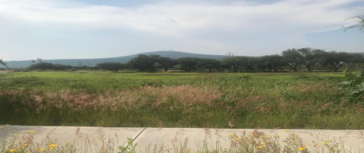 Foto de terreno habitacional en venta en terreno 60 el encino , la noria, huimilpan, querétaro, 28632640 No. 04