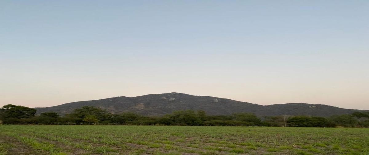 Foto de terreno comercial en venta en terreno agricola , tuxpan centro, tuxpan, jalisco, 0 No. 04
