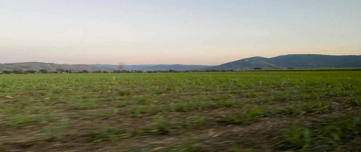 Foto de terreno comercial en venta en terreno agricola , tuxpan centro, tuxpan, jalisco, 0 No. 05