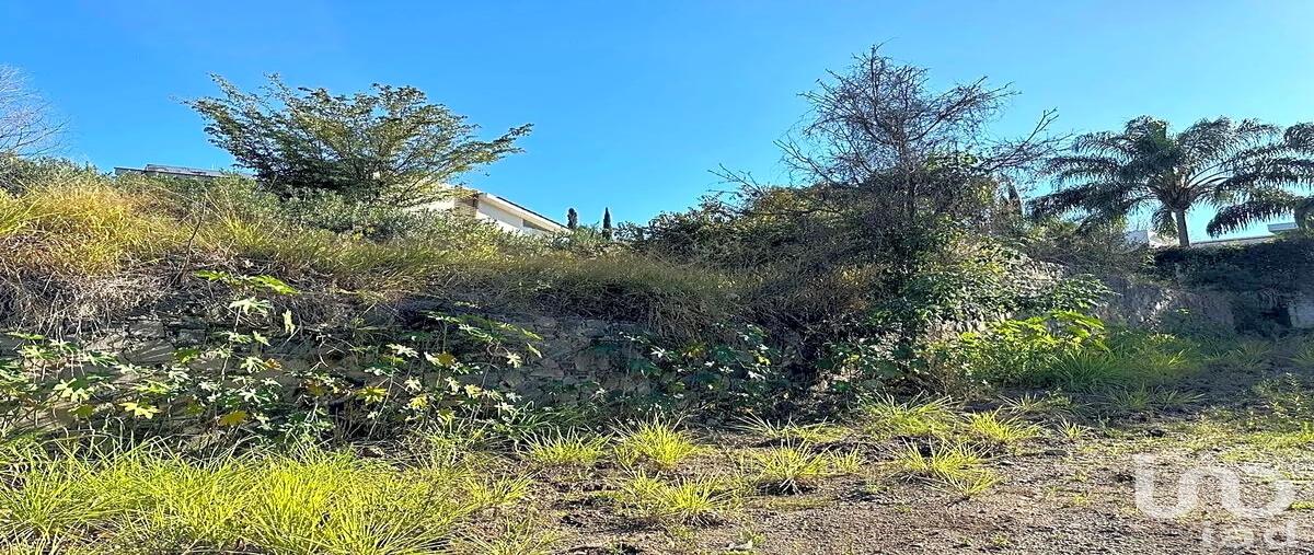 Foto de terreno comercial en venta en terreno en bosques de mexico 141, bosques de san isidro (las caÃ±adas), zapopan, jalisco, 31614145 No. 04