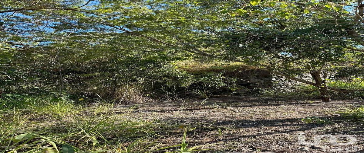 Foto de terreno comercial en venta en terreno en bosques de mexico 141, bosques de san isidro (las caÃ±adas), zapopan, jalisco, 31614145 No. 05