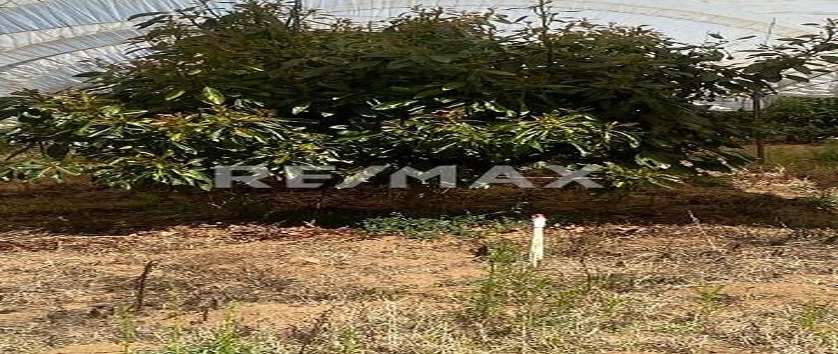 Foto de terreno comercial en terreno en charapan, michoacán!! , la basilia, uruapan, michoacán de ocampo, 0 foto 03 Foto de terreno comercial en venta en terreno en charapan, michoacán!! , la basilia, uruapan, michoacán de ocampo, 0 No. 03