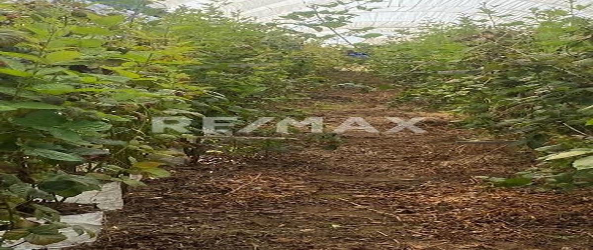 Foto de terreno comercial en terreno en charapan, michoacán!! , la basilia, uruapan, michoacán de ocampo, 0 foto 05 Foto de terreno comercial en venta en terreno en charapan, michoacán!! , la basilia, uruapan, michoacán de ocampo, 0 No. 05