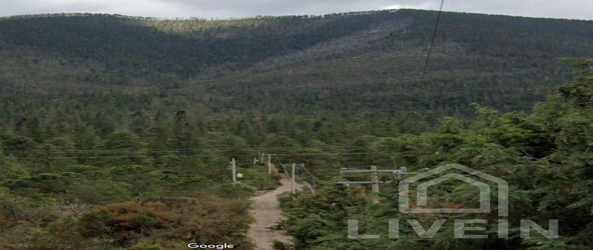 Foto de terreno habitacional en venta en terreno en los liriosarteaga , arteaga centro, arteaga, coahuila de zaragoza, 0 No. 03