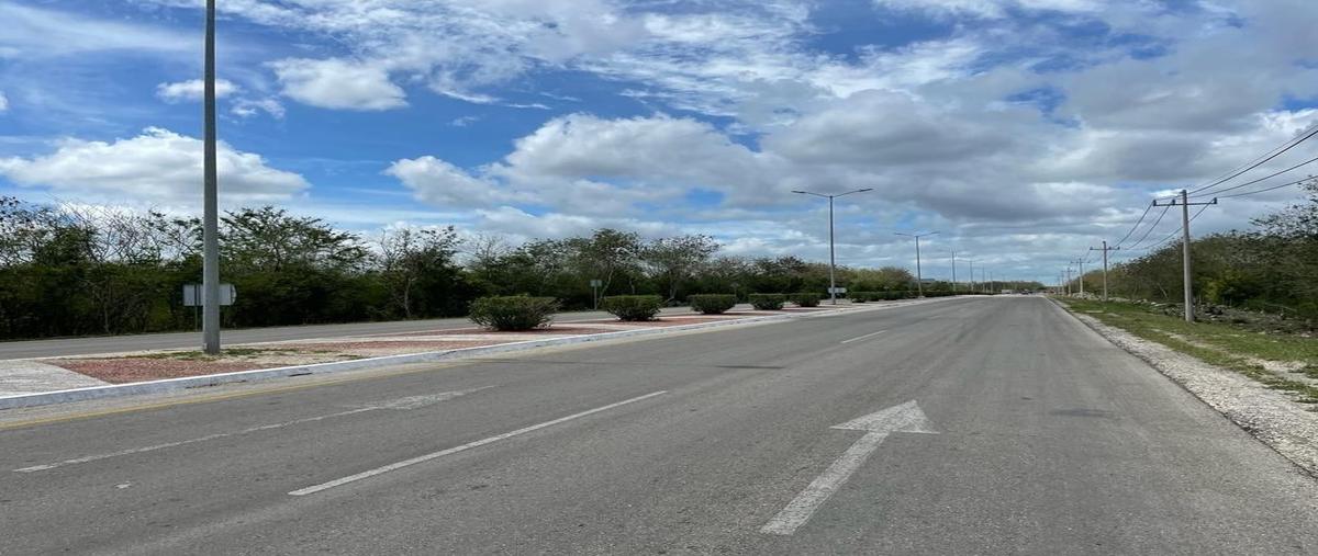 Foto de terreno industrial en venta en terreno en sahétixpéhual , yucatan, mérida, yucatán, 27443632 No. 04