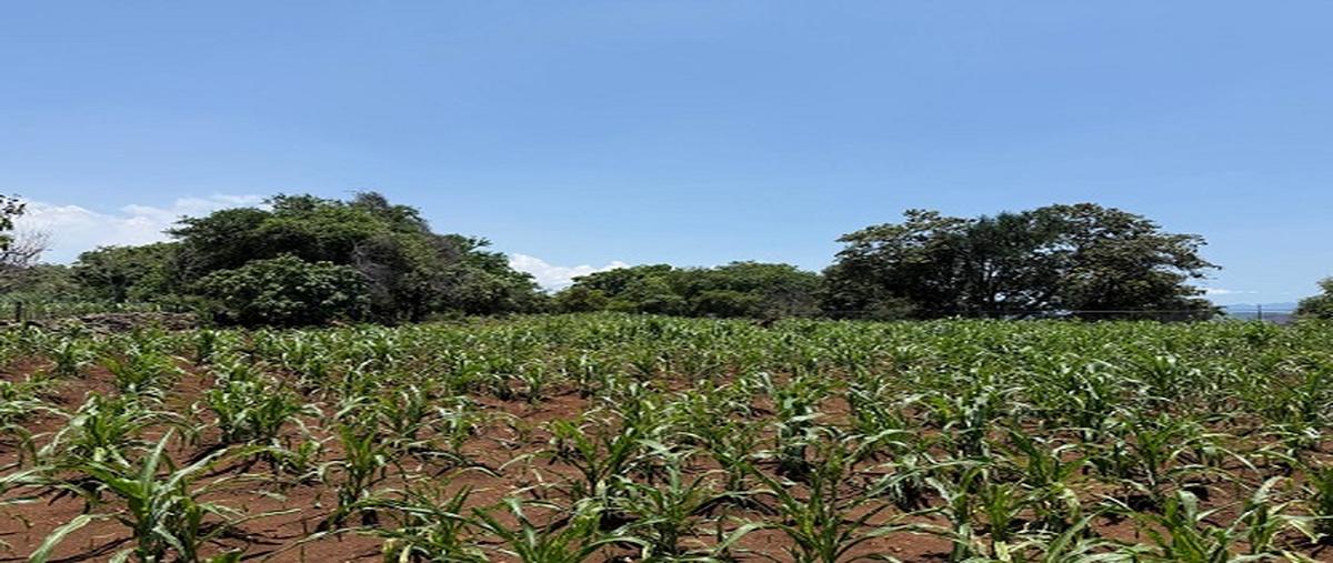 Foto de terreno comercial en terreno en taretan, michoacán , uruapan progreso, uruapan, michoacán de ocampo, 0 foto 03 Foto de terreno comercial en venta en terreno en taretan, michoacán , uruapan progreso, uruapan, michoacán de ocampo, 0 No. 03