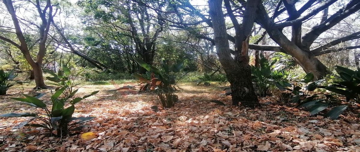 Foto de terreno habitacional en venta en terreno en venta para inversionistas , oaxtepec centro, yautepec, morelos, 0 No. 03