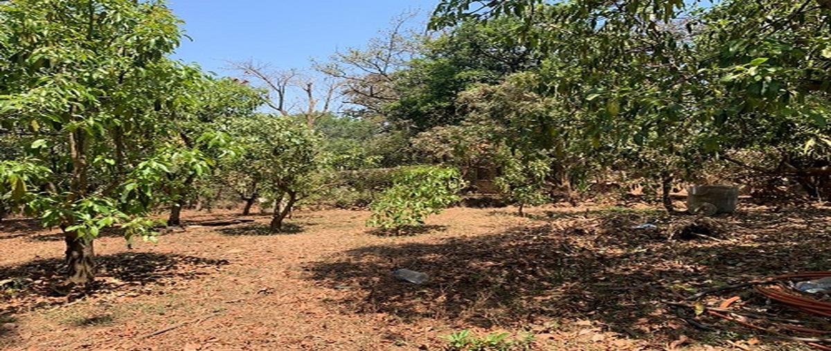 Foto de terreno habitacional en venta en terreno en ziracuaretiro, michoacán. , uruapan centro, uruapan, michoacán de ocampo, 29873435 No. 04