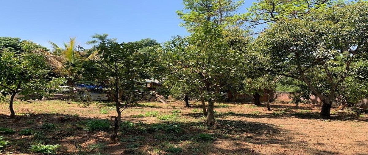 Foto de terreno habitacional en venta en terreno en ziracuaretiro, michoacán. , uruapan centro, uruapan, michoacán de ocampo, 29873435 No. 05