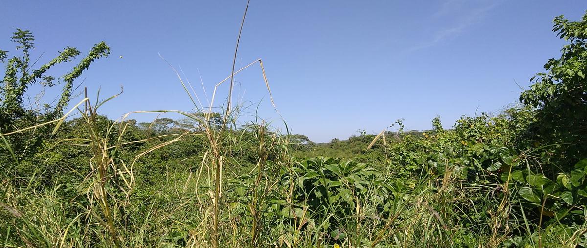 Foto de terreno industrial en terreno formado , centro ixhuatlán del sureste, ixhuatlán del sureste, veracruz de ignacio de la llave, 26258084 foto 02 Foto de terreno industrial en venta en terreno formado , centro ixhuatlán del sureste, ixhuatlán del sureste, veracruz de ignacio de la llave, 26258084 No. 02