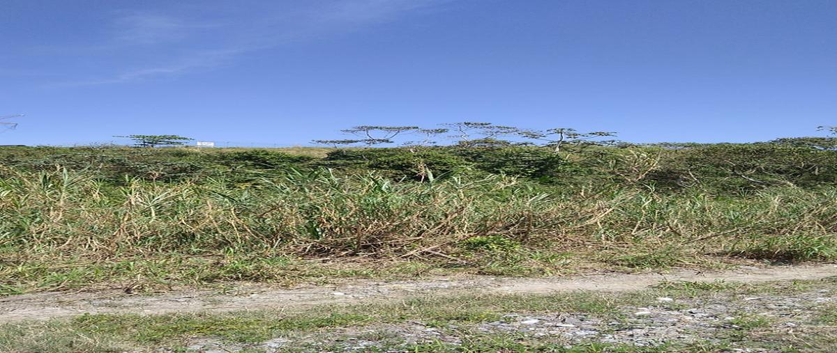 Foto de terreno industrial en terreno formado , centro ixhuatlán del sureste, ixhuatlán del sureste, veracruz de ignacio de la llave, 26258084 foto 03 Foto de terreno industrial en venta en terreno formado , centro ixhuatlán del sureste, ixhuatlán del sureste, veracruz de ignacio de la llave, 26258084 No. 03