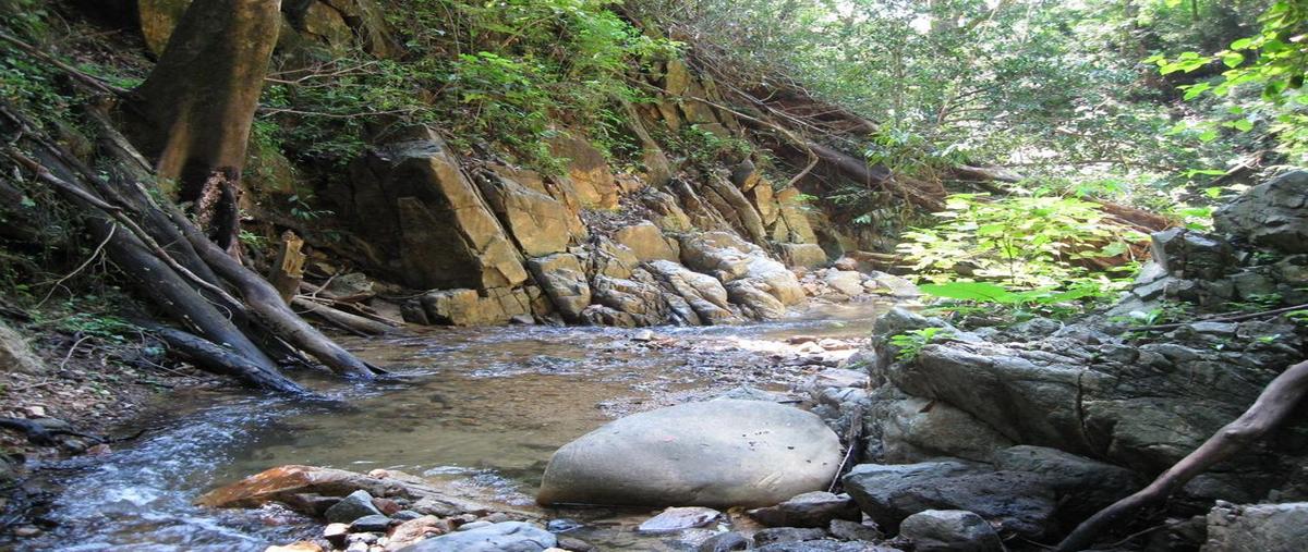 Foto de terreno habitacional en venta en terreno jalisco , san sebastián del oeste, san sebastián del oeste, jalisco, 0 No. 03
