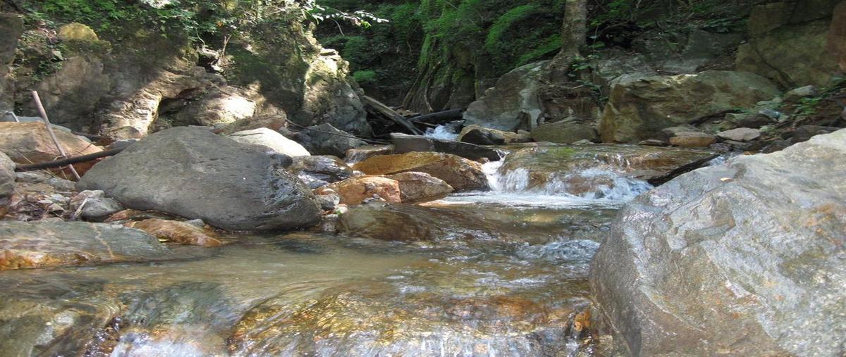 Foto de terreno habitacional en venta en terreno jalisco , san sebastián del oeste, san sebastián del oeste, jalisco, 0 No. 04