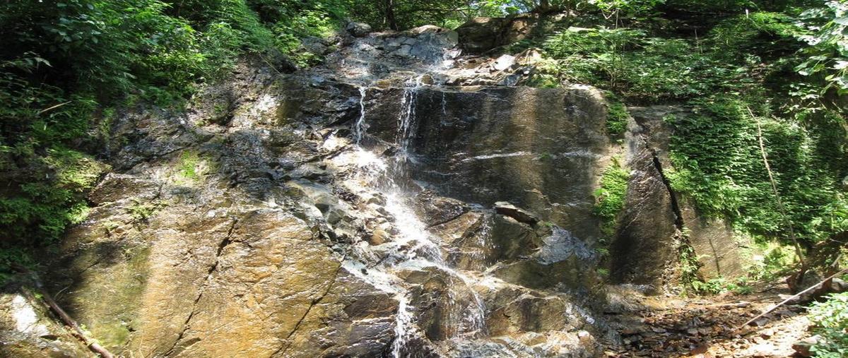 Foto de terreno habitacional en venta en terreno jalisco , san sebastián del oeste, san sebastián del oeste, jalisco, 0 No. 05