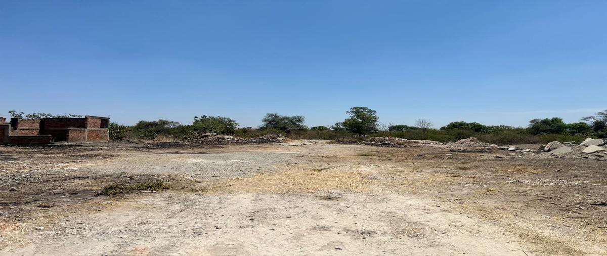 Foto de terreno habitacional en venta en terreno , las pintas, el salto, jalisco, 29737734 No. 04