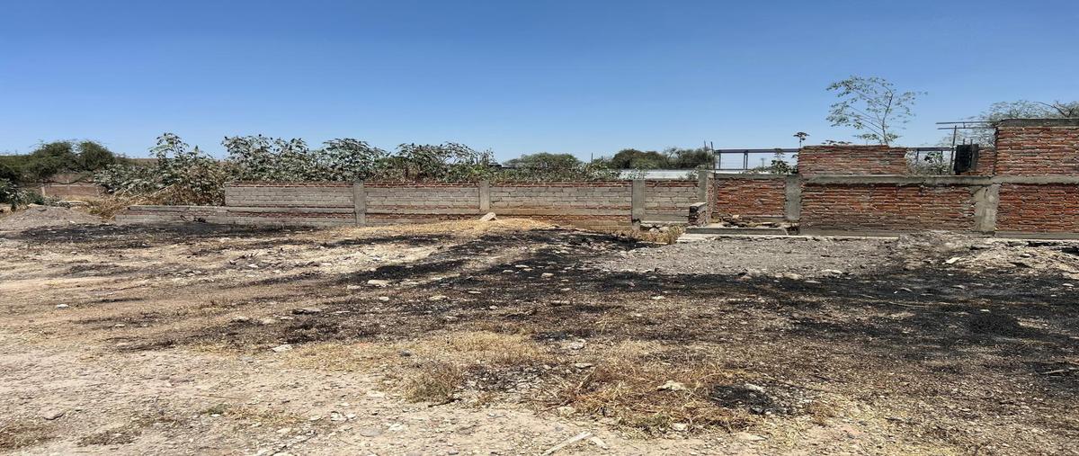Foto de terreno habitacional en venta en terreno , las pintas, el salto, jalisco, 29737734 No. 05