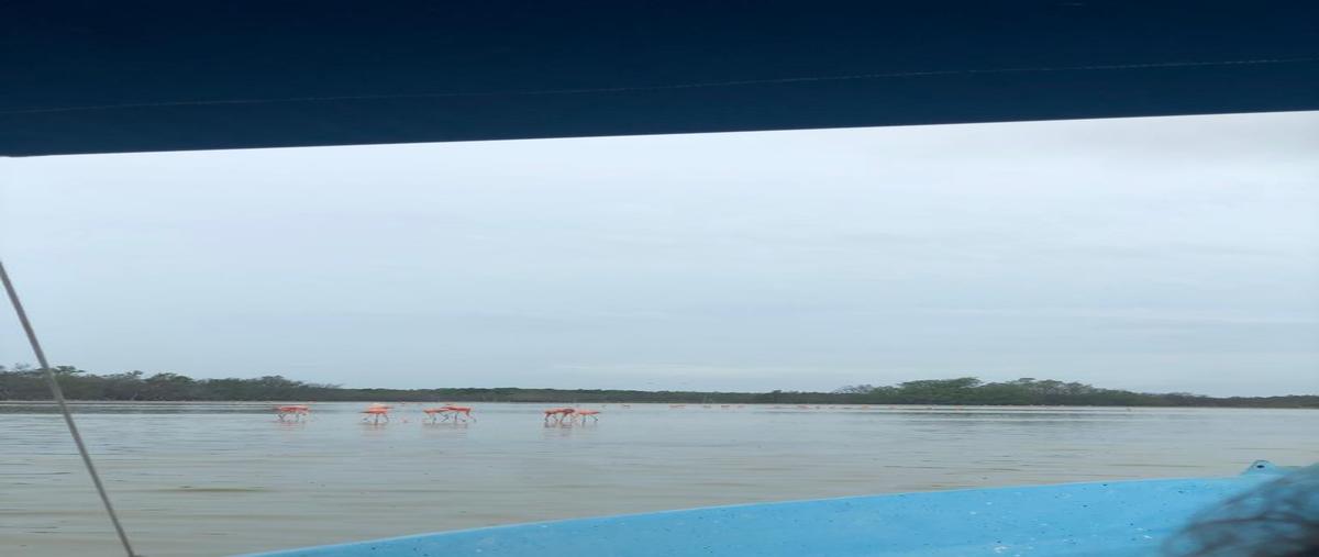 Foto de terreno habitacional en venta en terreno/ lote en venta meridaplaya santa clara entrega inmediata. , santa clara, dzidzantún, yucatán, 0 No. 05