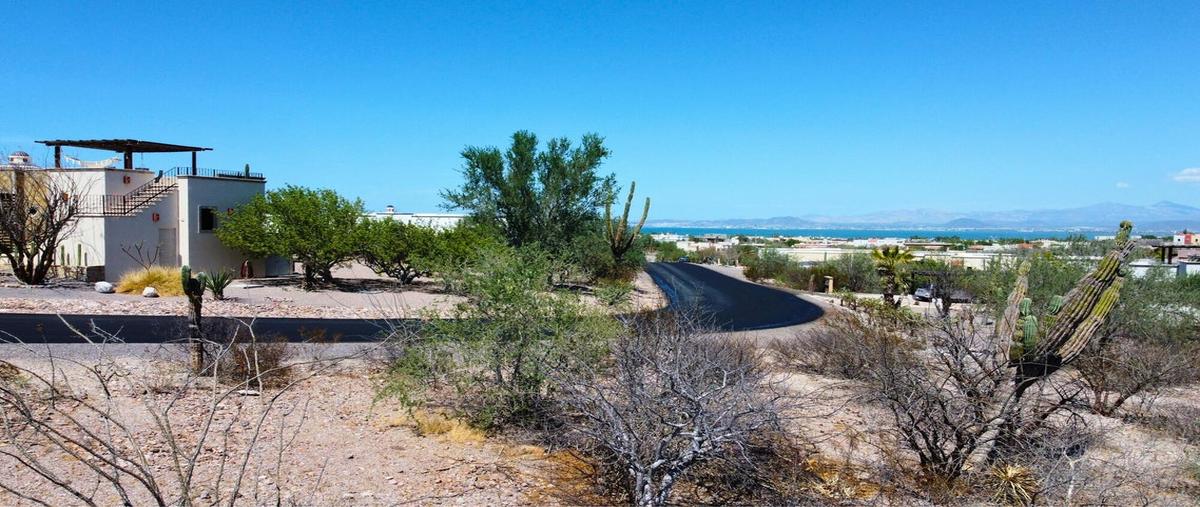 Foto de terreno habitacional en venta en terreno palo verde lot 42 vista mar, la paz , el centenario, la paz, baja california sur, 0 No. 05
