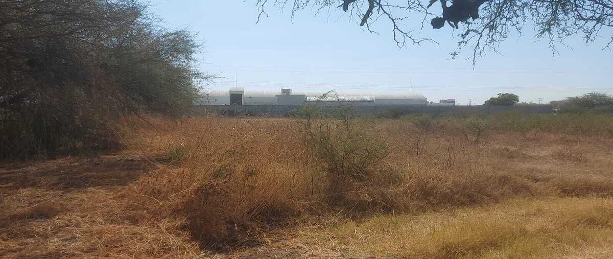 Foto de terreno habitacional en venta en terreno san antonio gto , los ángeles, querétaro, querétaro, 29732342 No. 05