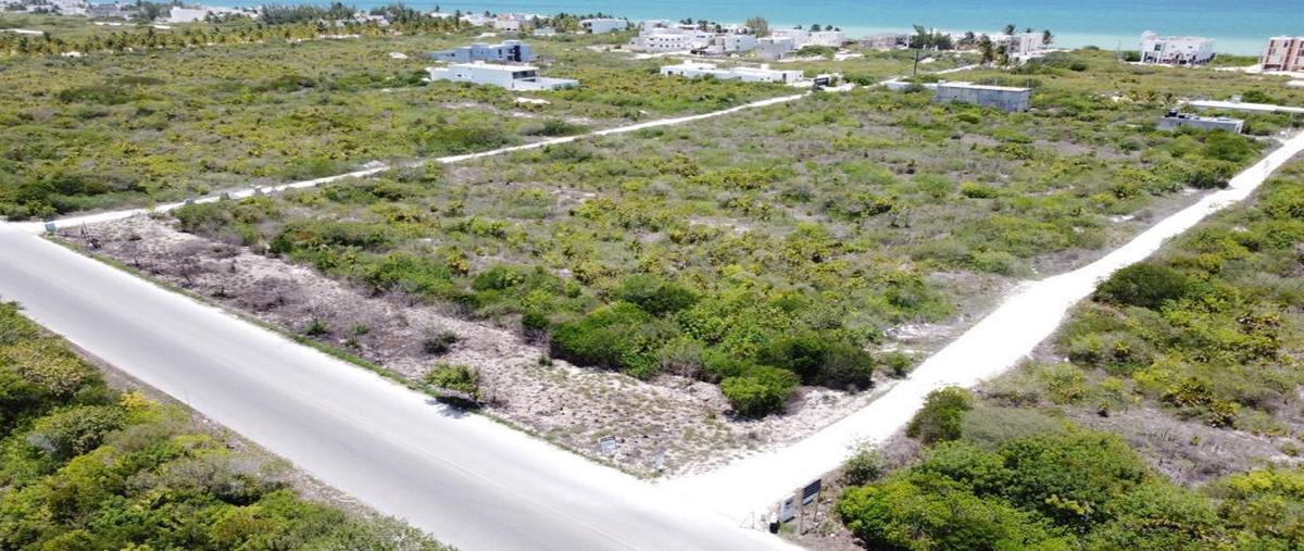 Foto de terreno habitacional en terreno/lote en venta meridaplaya san benito dzumul2da filaentrega inmediata. , san diego, dzemul, yucatán, 0 foto 05 Foto de terreno habitacional en venta en terreno/lote en venta meridaplaya san benito dzumul2da filaentrega inmediata. , san diego, dzemul, yucatán, 0 No. 05