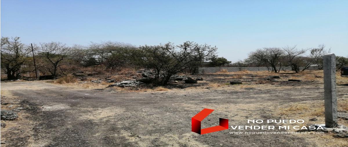 Foto de terreno habitacional en venta en  , tetecalita, emiliano zapata, morelos, 0 No. 04