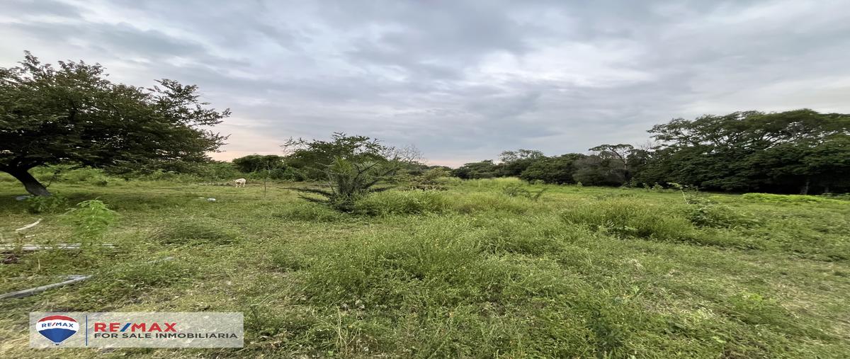 Foto de terreno habitacional en venta en tetecalita , tetecalita, emiliano zapata, morelos, 28849865 No. 04