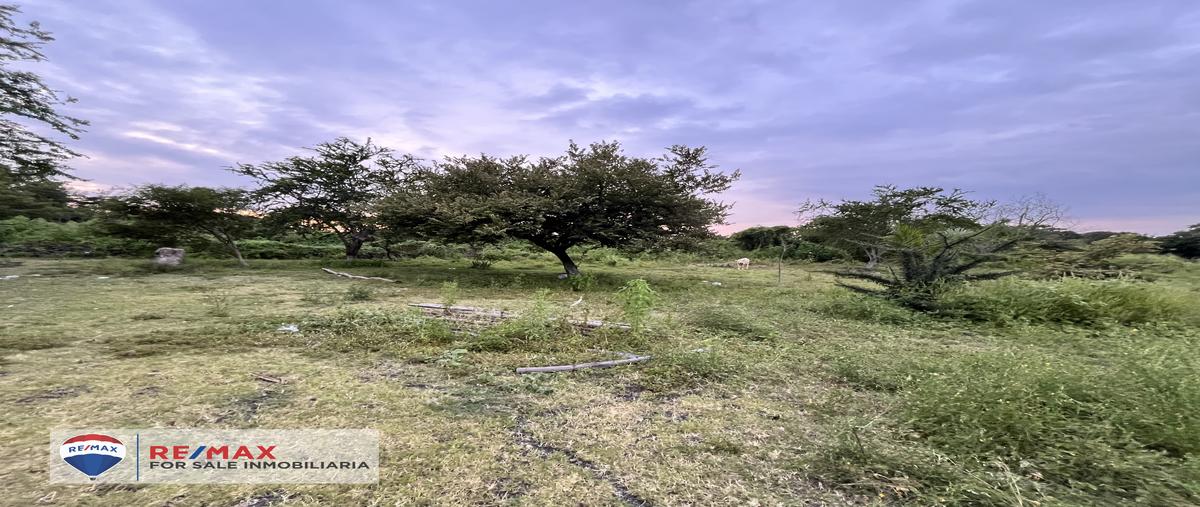 Foto de terreno habitacional en venta en tetecalita , tetecalita, emiliano zapata, morelos, 28849865 No. 05