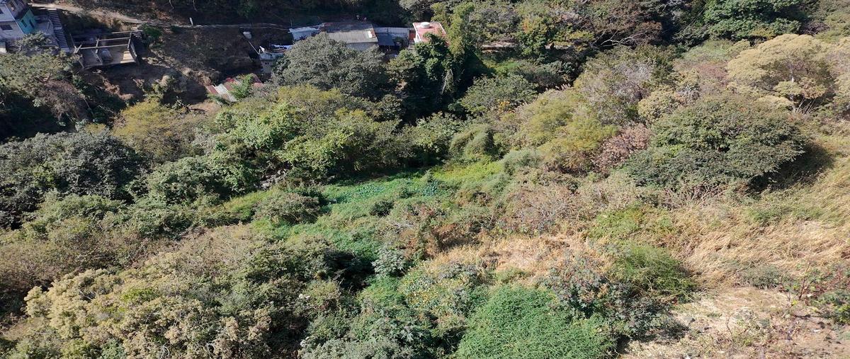 Foto de terreno habitacional en venta en  , tetela del monte, cuernavaca, morelos, 0 No. 05