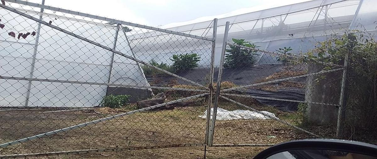 Foto de terreno comercial en renta en tetela del monte , tetela del monte, cuernavaca, morelos, 25421577 No. 02