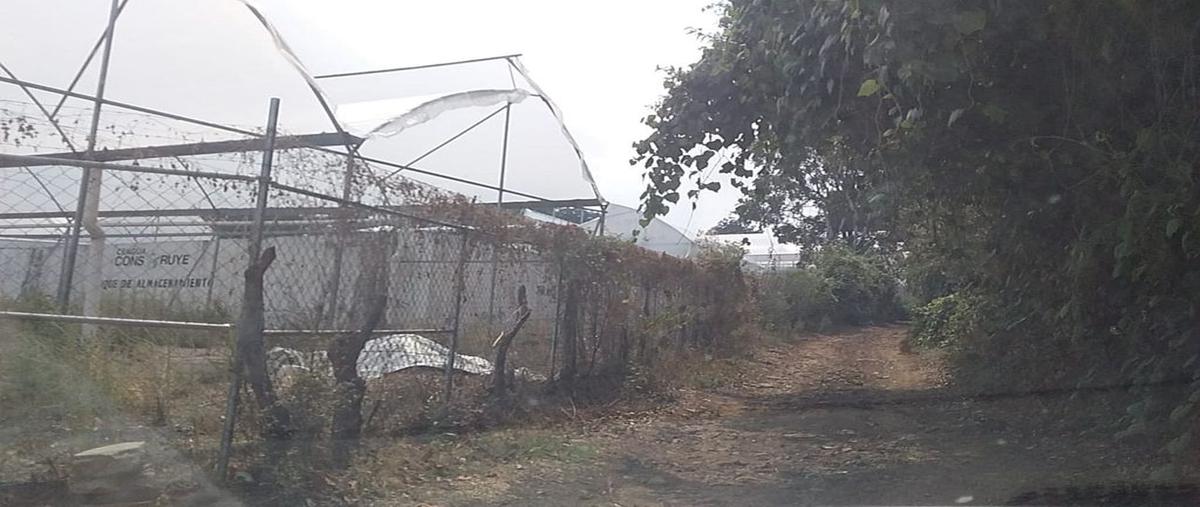 Foto de terreno comercial en renta en tetela del monte , tetela del monte, cuernavaca, morelos, 25421577 No. 03