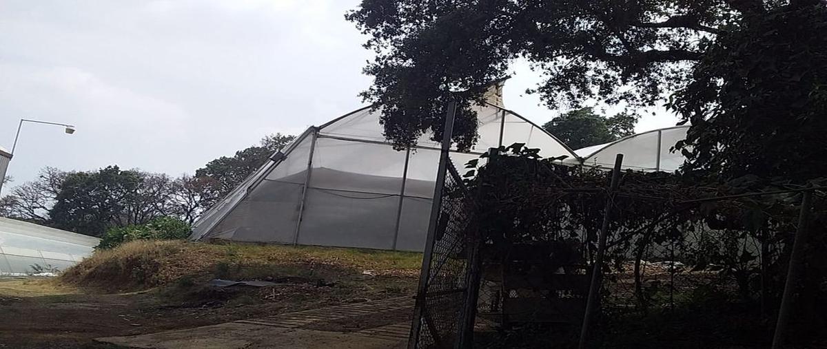 Foto de terreno comercial en renta en tetela del monte , tetela del monte, cuernavaca, morelos, 25421577 No. 04