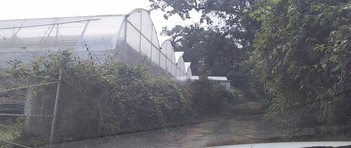Foto de terreno comercial en renta en tetela del monte , tetela del monte, cuernavaca, morelos, 25421577 No. 05