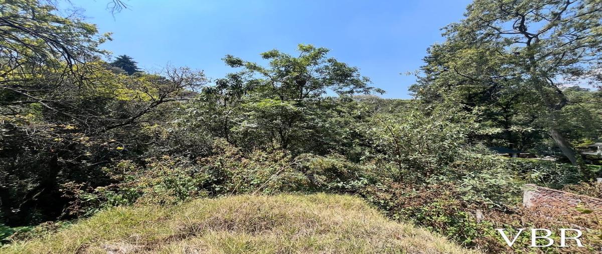 Foto de terreno habitacional en venta en  , tetelpan, álvaro obregón, df / cdmx, 0 No. 03