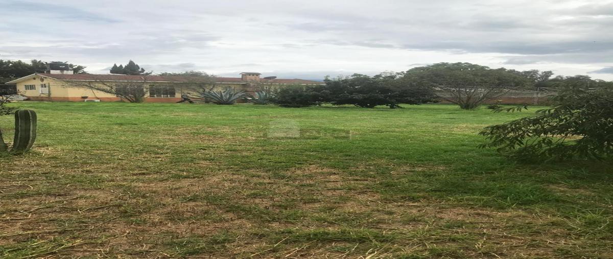 Foto de terreno habitacional en venta en tetitla 2, tepetlaoxtoc de hidalgo, tepetlaoxtoc, méxico, 29709158 No. 03