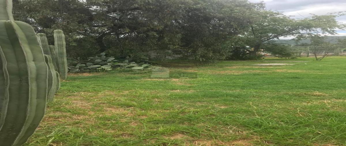 Foto de terreno habitacional en venta en tetitla 2, tepetlaoxtoc de hidalgo, tepetlaoxtoc, méxico, 29709158 No. 04