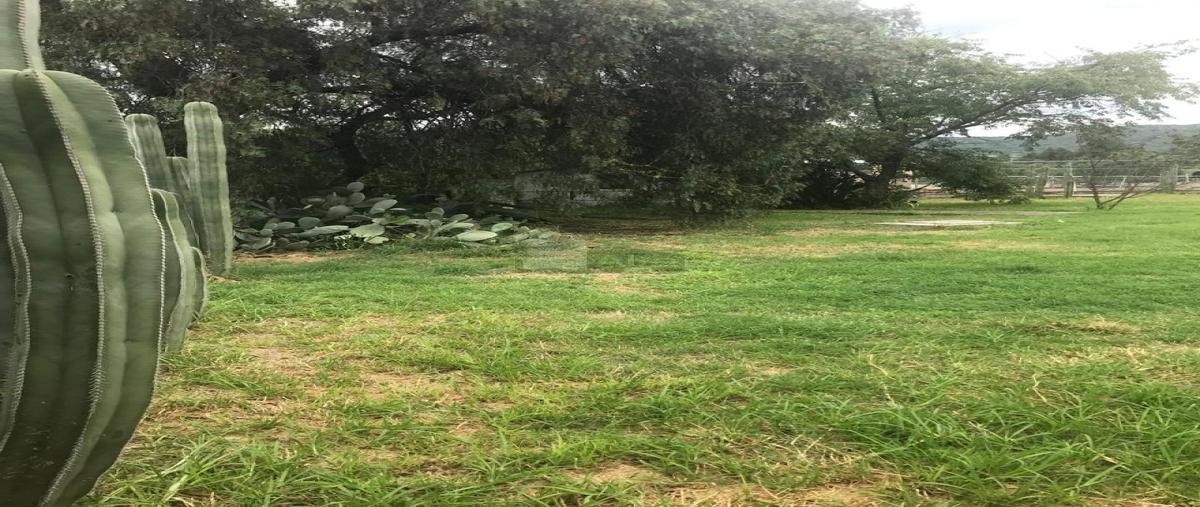 Foto de terreno habitacional en venta en tetitla 2, tepetlaoxtoc de hidalgo, tepetlaoxtoc, méxico, 29709158 No. 05