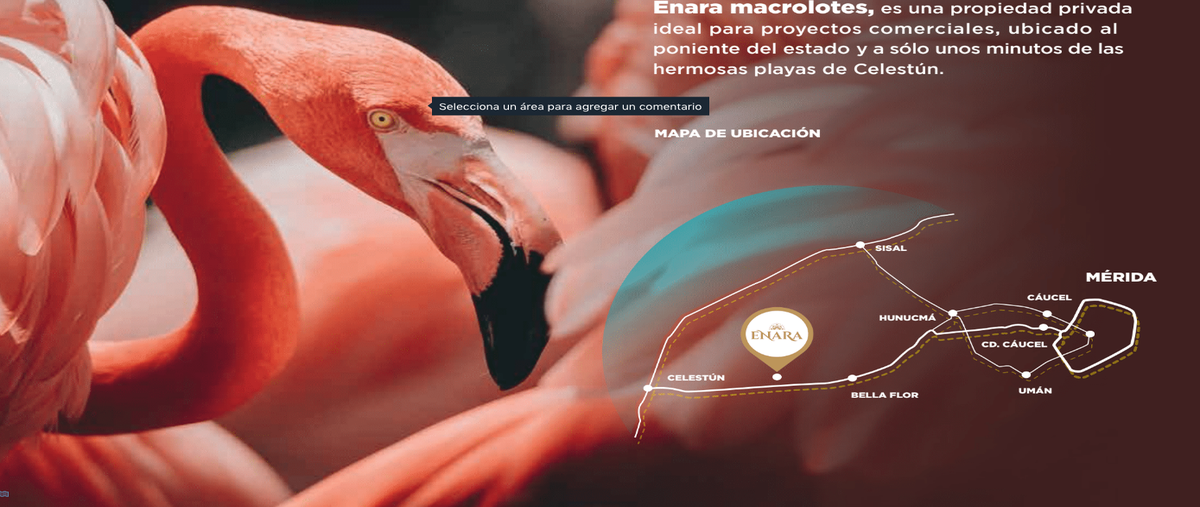 Foto de terreno habitacional en venta en  , tetiz, tetiz, yucatán, 22537210 No. 04