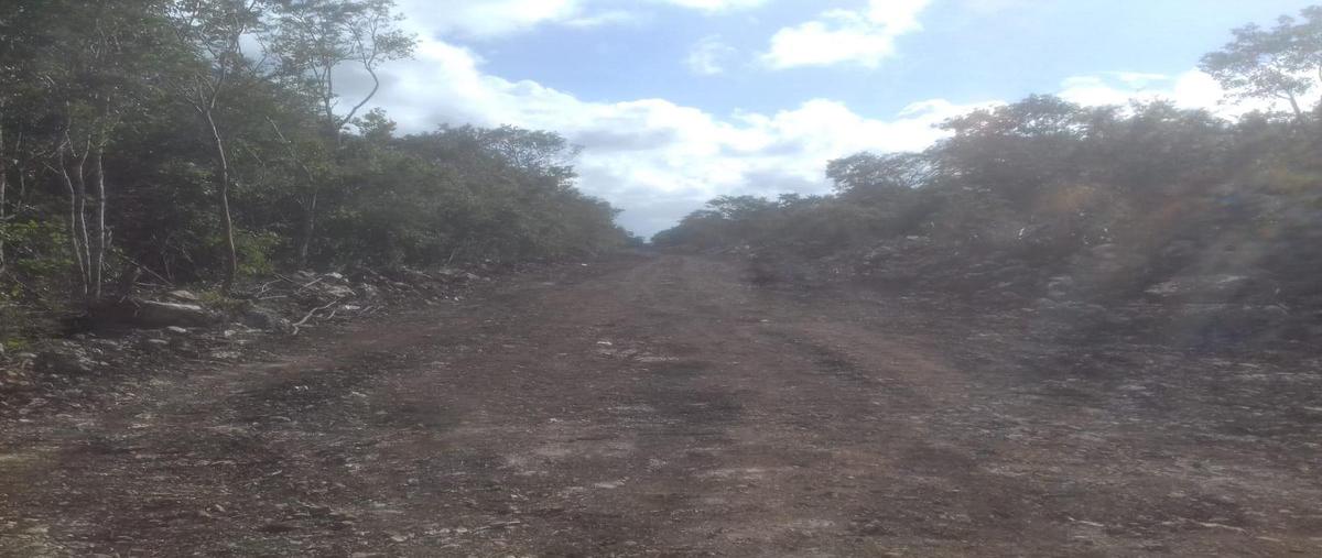 Foto de terreno habitacional en venta en  , tetiz, tetiz, yucatán, 0 No. 04