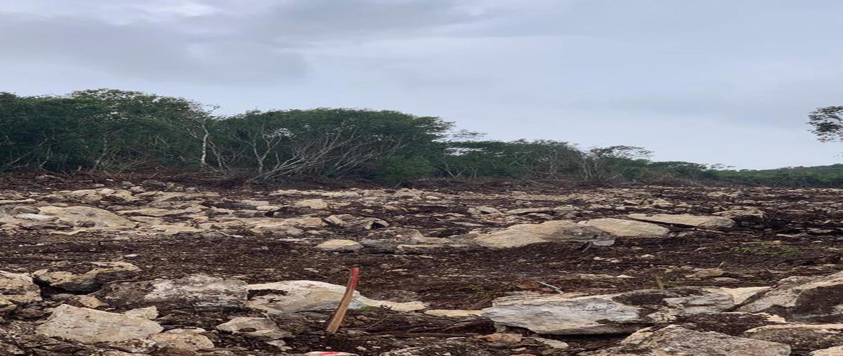 Foto de terreno habitacional en venta en  , tetiz, tetiz, yucatán, 0 No. 05