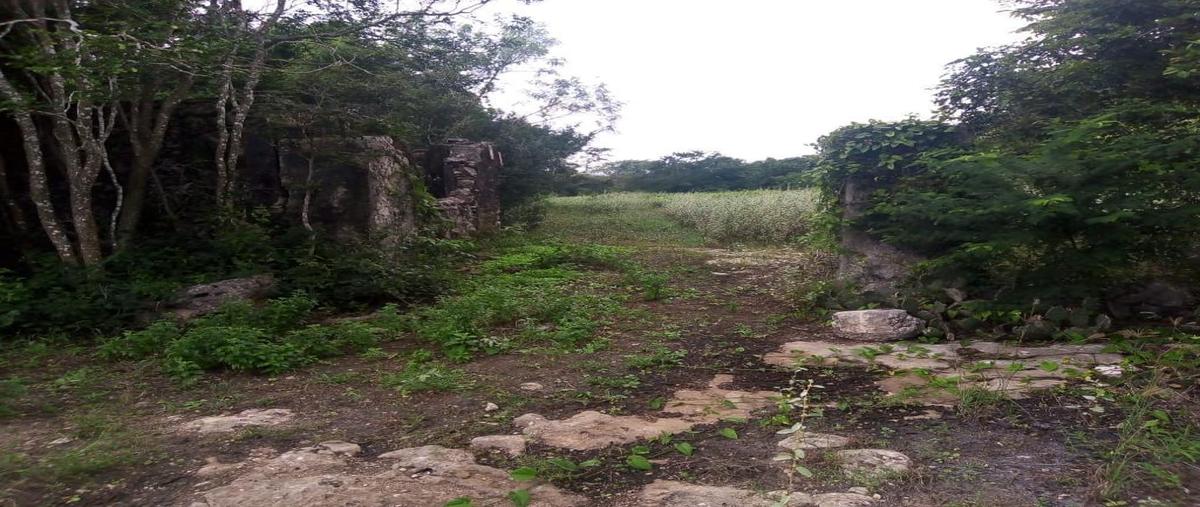 Foto de terreno habitacional en , tetiz, tetiz, yucatán, 0 foto 02 Foto de terreno habitacional en venta en , tetiz, tetiz, yucatán, 0 No. 02