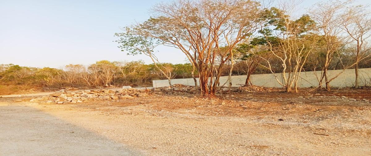 Foto de terreno habitacional en venta en  , tetiz, tetiz, yucatán, 0 No. 03