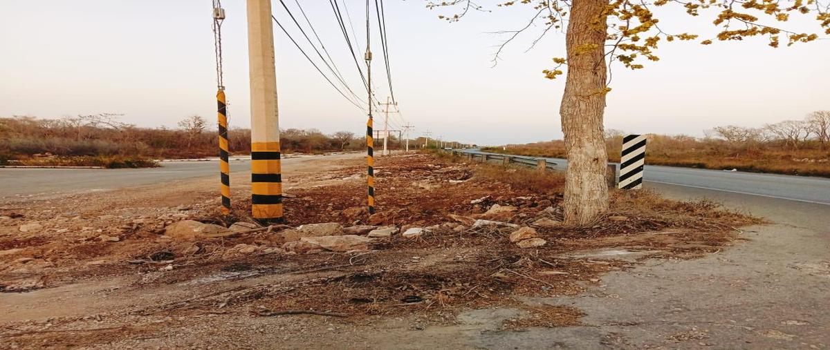 Foto de terreno habitacional en venta en  , tetiz, tetiz, yucatán, 0 No. 05