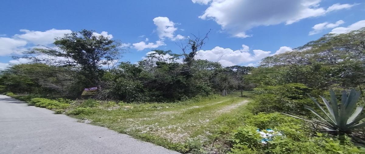 Foto de terreno habitacional en venta en  , tetiz, tetiz, yucatán, 28627467 No. 04
